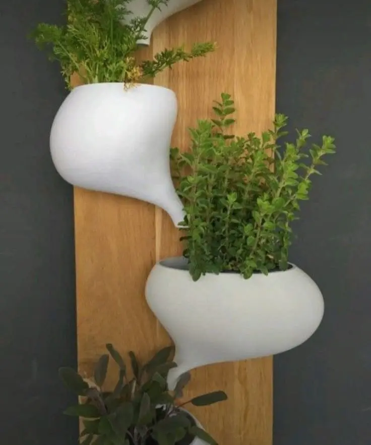 Wall Planter