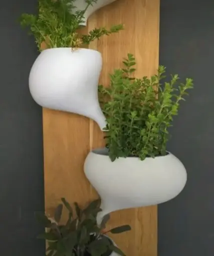 Wall Planter