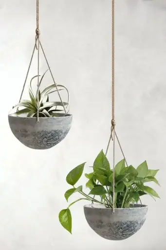 Hanging Planter